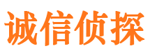 洛隆侦探公司